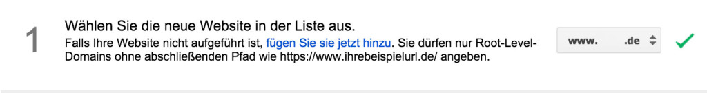 Beim Klick auf „Neue Webseite“ lassen sich alle bestätigten Domains auswählen – darunter wird sich nun die neue gewünschte Domain finden lassen. Wenn nicht, dann ist die neue Domain noch nicht bestätigt – folgen Sie dann zuerst den Anweisungen der Verifizierung.