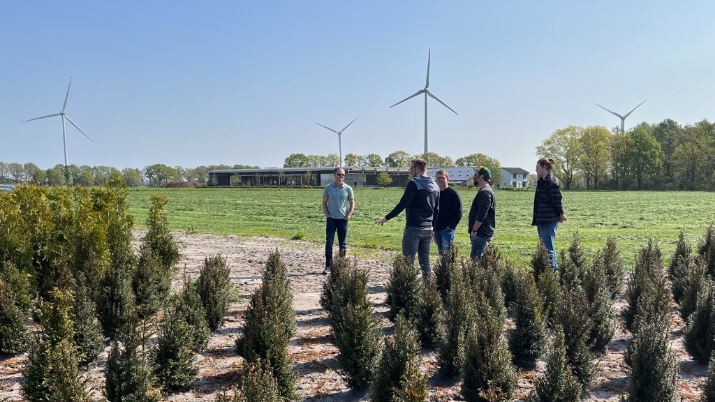 Reihen junger Heckenpflanzen auf einem Feld vor Menschen und Windrädern, ideal für Heckenplanung und Auswahl.