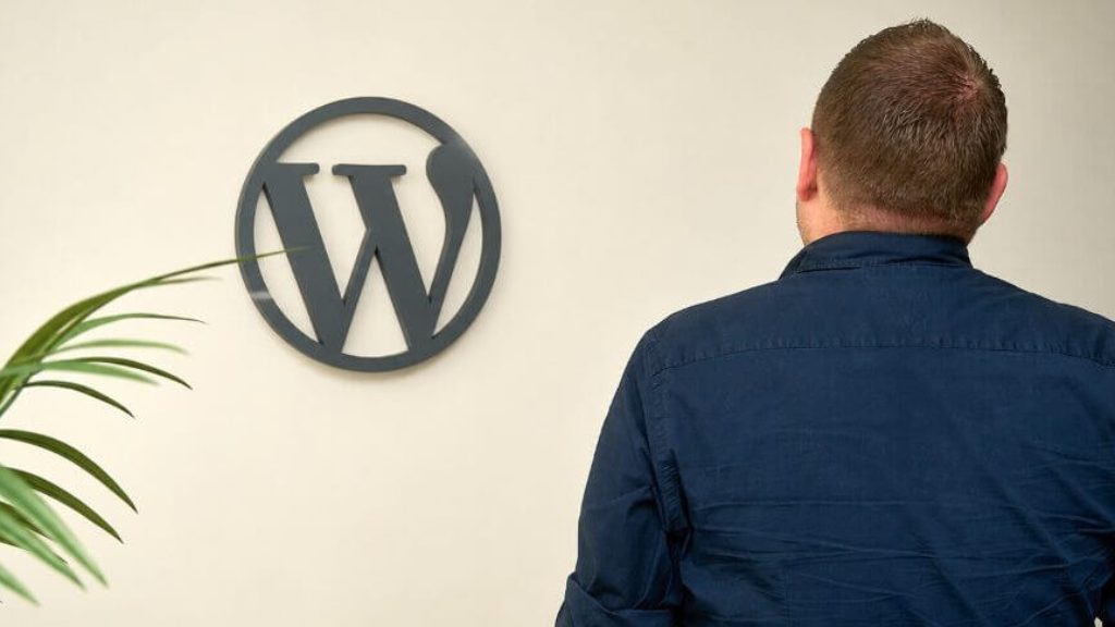 Berater steht mit dem Rücken zur Kamera vor einem großen WordPress-Logo und symbolisiert Webdesign- und WordPress-Services.